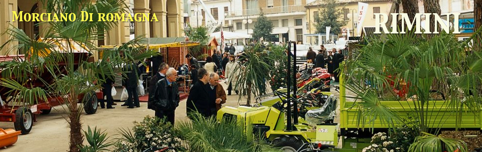 Rimini
